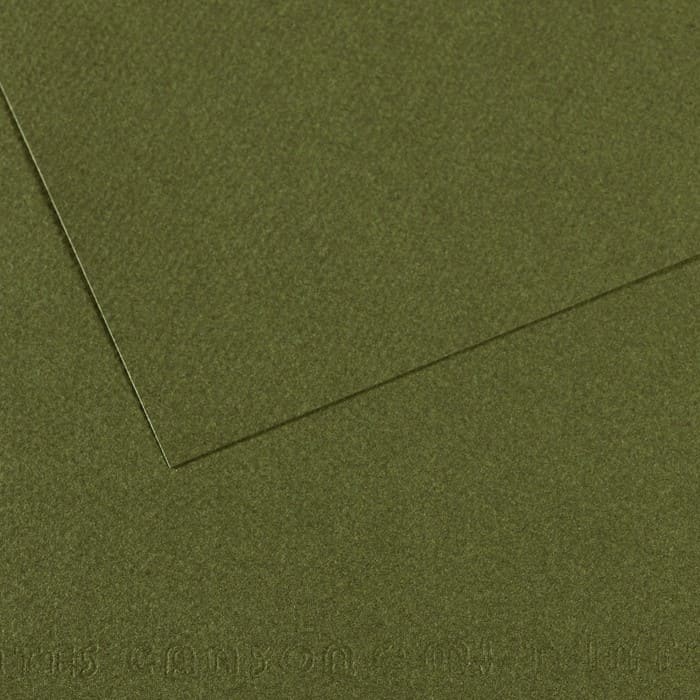 Бумага для пастели CANSON Mi-Teintes №448 Зеленый плющ 160 г/м2 21х29.7 см