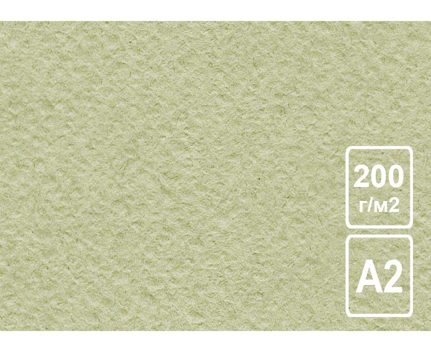 Бумага рисовальная Оливковая 200 г/м2 А2
