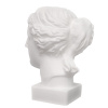 Голова Венеры, Малевичъ, гипс
