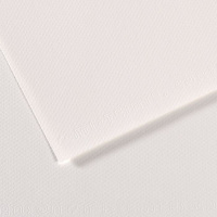 Бумага для пастели CANSON Mi-Teintes №335 Белый 160 г/м2 50х65 см